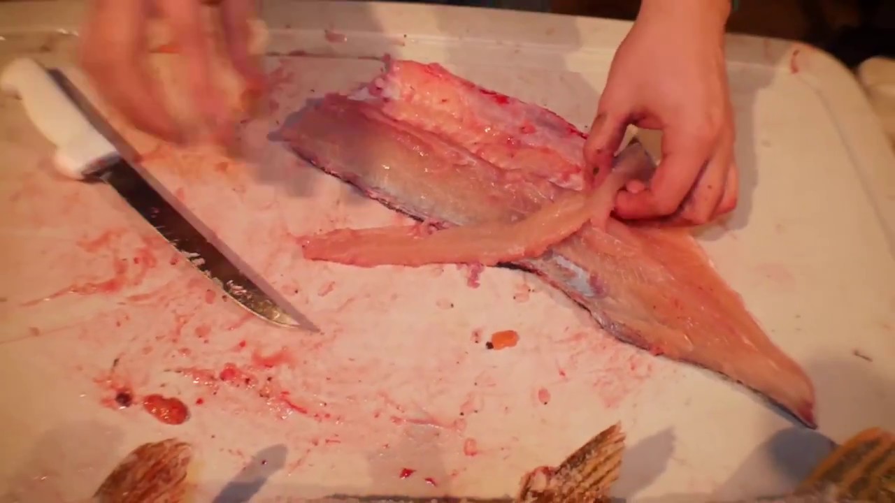 SUPER Easy Y Bone Removal from Northern Pike Fillet