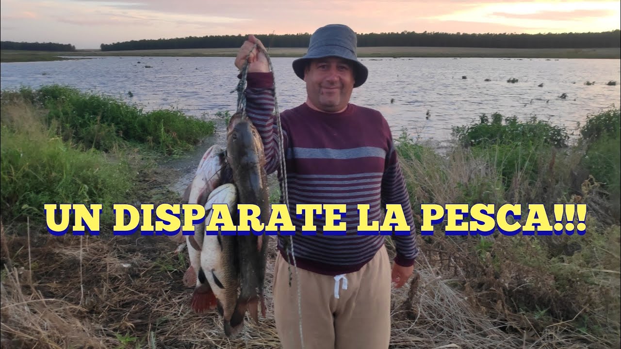 Impresionante la pesca que tiene esta laguna, te aburrís de sacar en Pesca en agua dulce