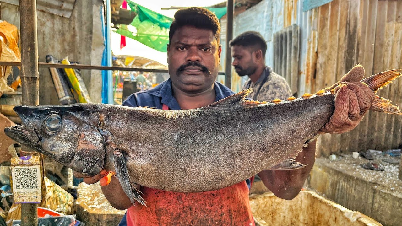 KASIMEDU 🔥 SPEED SELVAM | HUGE RARE FISH CUTTING VIDEO | 4K VIDEO | KM FISH CUTTING