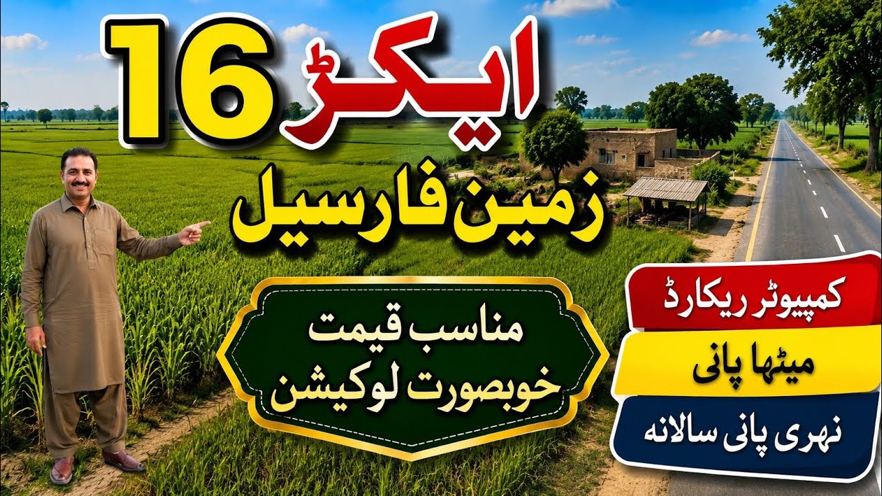 16-Acre Agricultural Land for Sale in Punjab, Pakistan | Cheap Price | Land for Sale | Ep 246