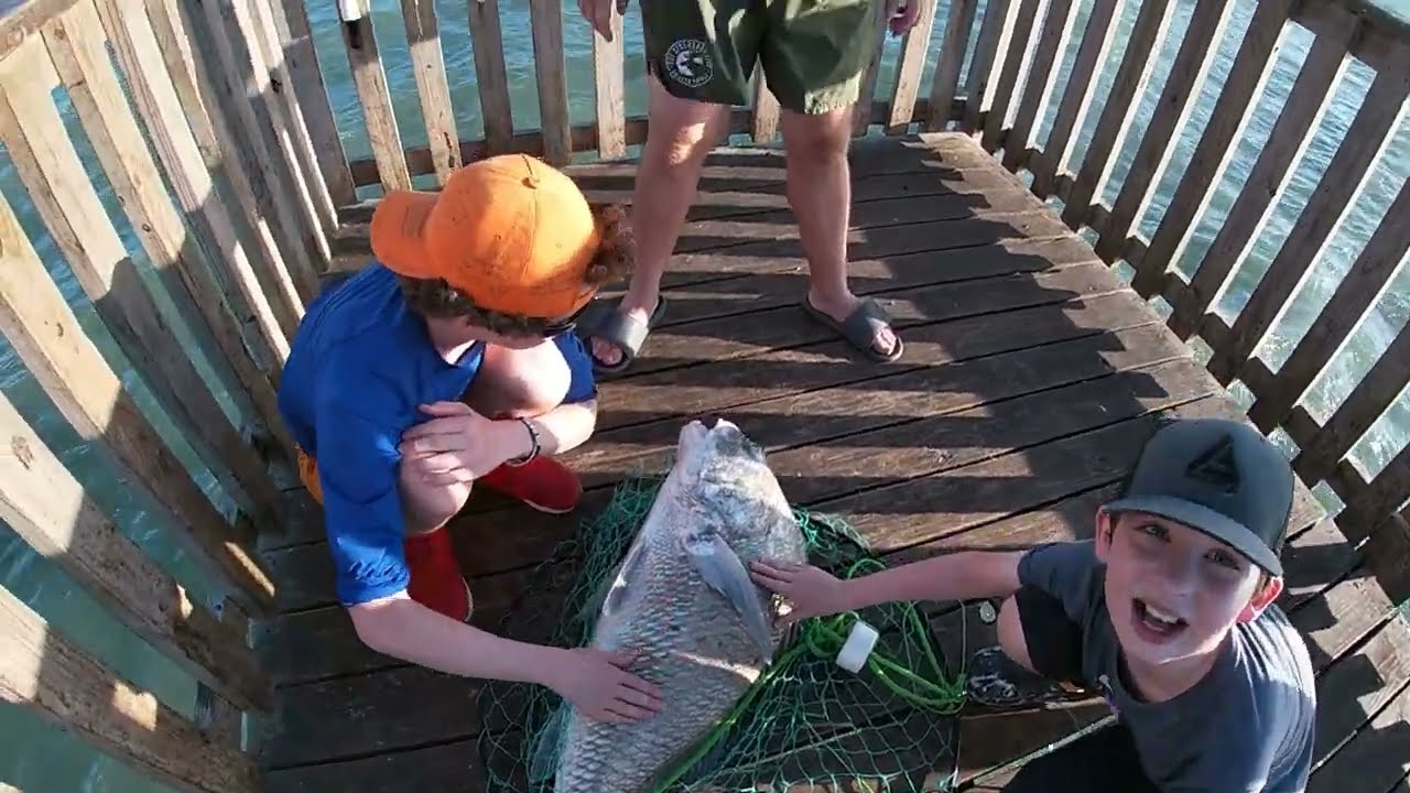 We got Sharked at Goose Island Pier in Rockport TX!
