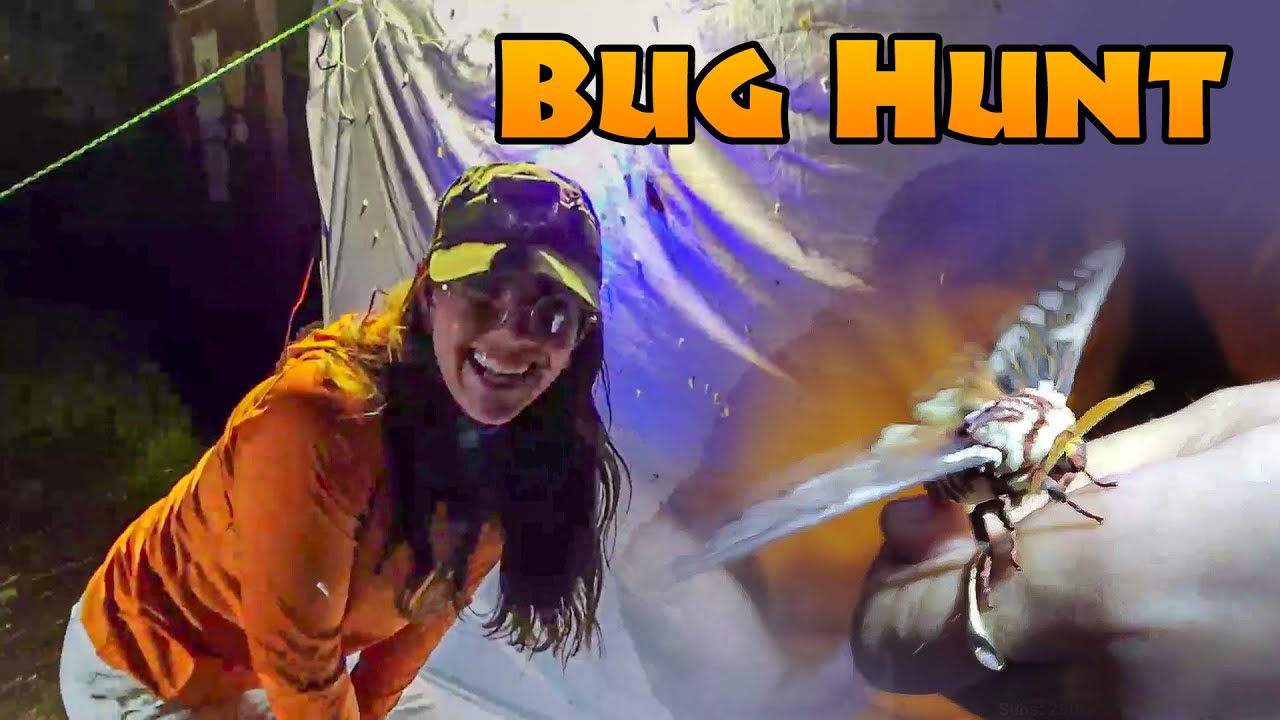IRL Bug Hunt with Maya & Friends