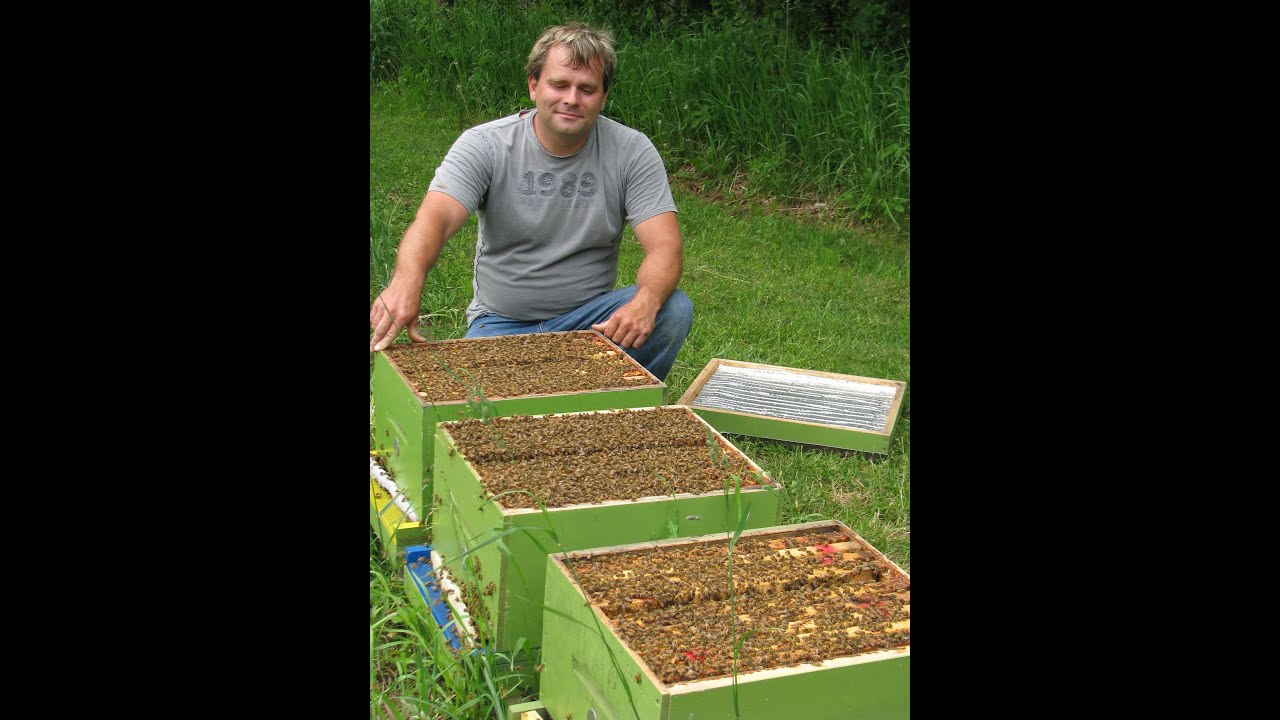 The Neonicotinoid View: Neonicotinoids And The 2012 Ontario Bee Kills