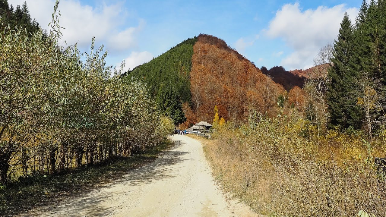 Cu San Montan la Pădurea Bicoloră