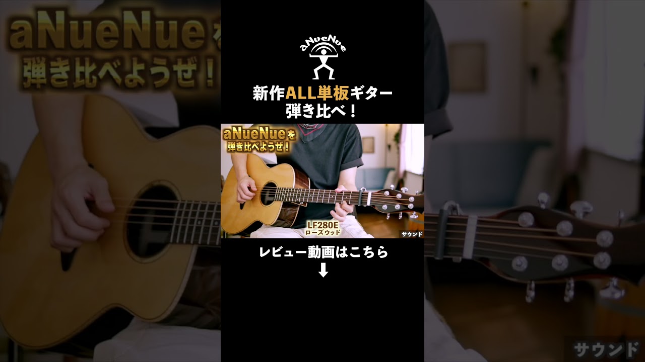 【新作】aNueNue / アヌエヌエ オール単板ギター2本！ #アコースティックギター #anuenue