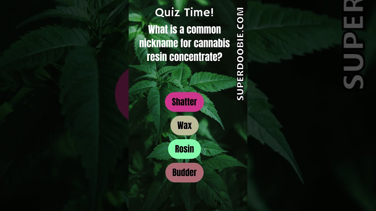 #Quiz Concentrates #CannabisCommunity #cannabisculture #StonerTwitter  #stonerfam