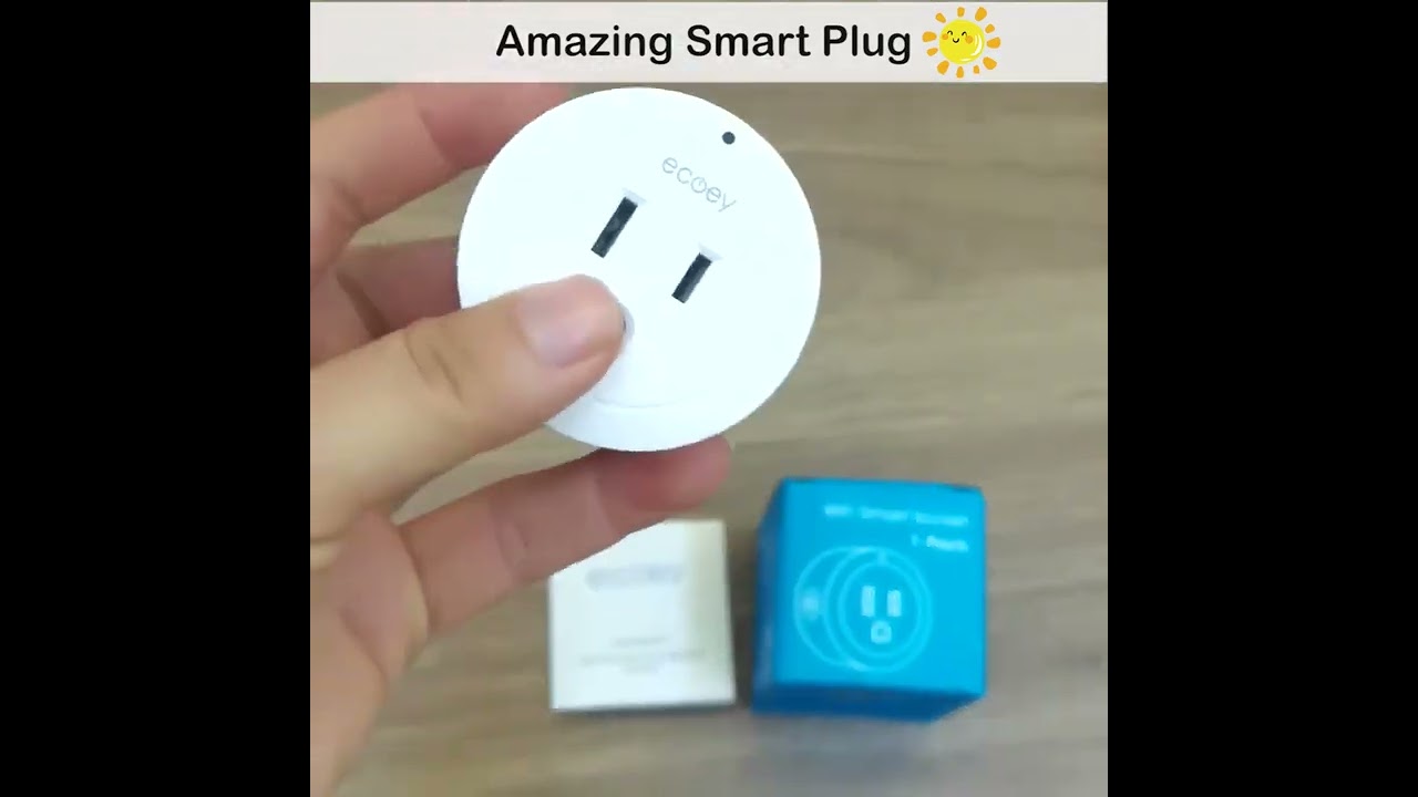 Smart Plug - with Alexa and Google Home for Voice Control