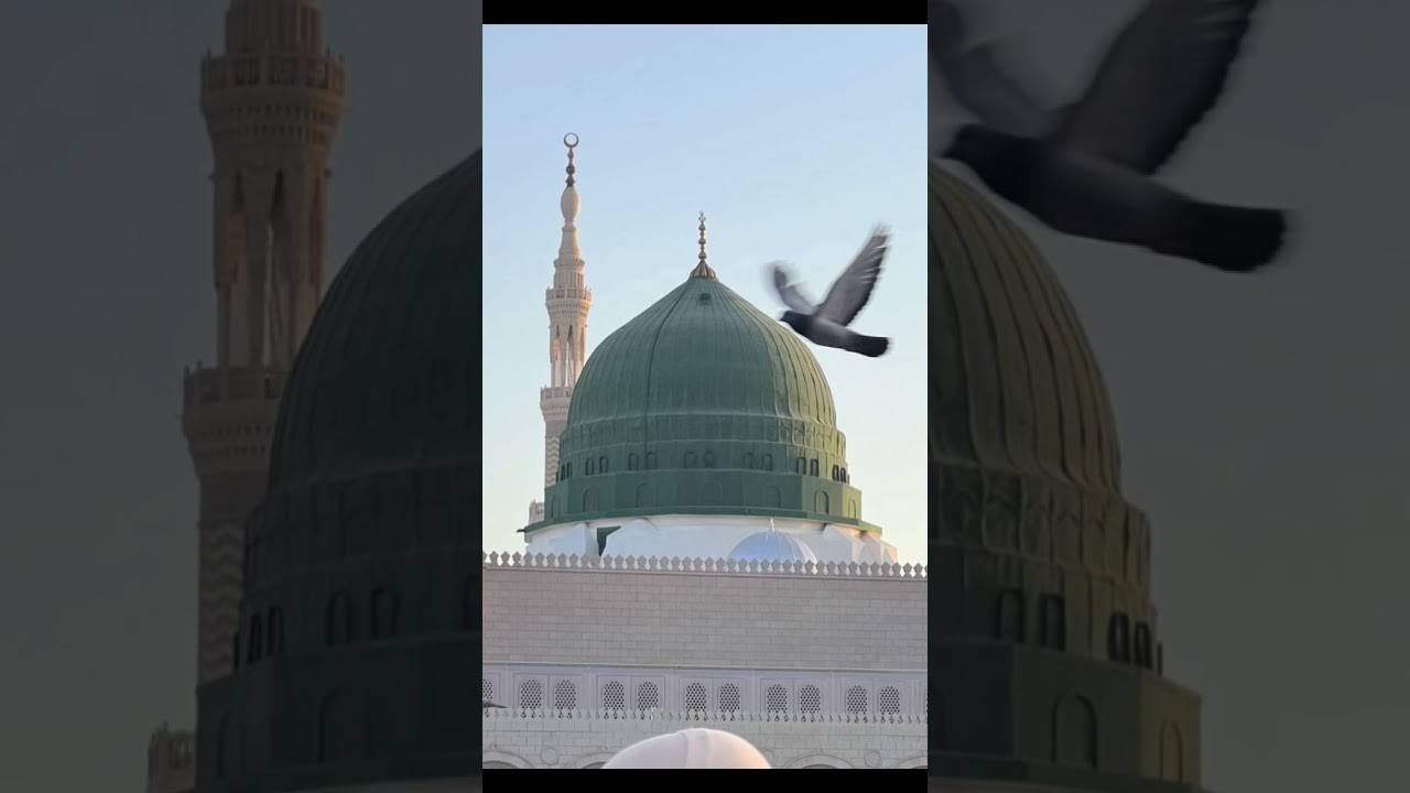💛🤍❤️ #allah 😱🪩😭🤲 #naat #muslim #slowed #religion #islam #islamic 😱🪩😭🤲