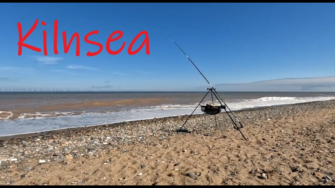 UK Sea Fishing - Kilnsea  Today 24th/April 2025 - East Coast