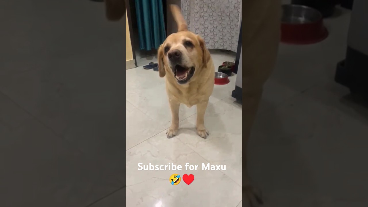 kise ko kuch samajh aaya 