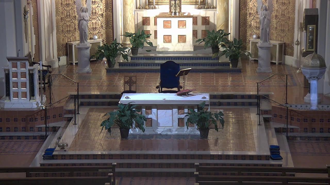 12:30 PM Spanish Mass — Sunday, February 1, 2026