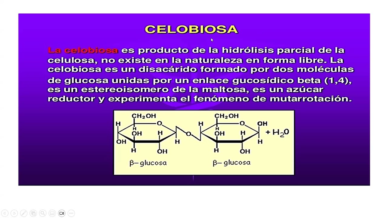 Bioquimica I