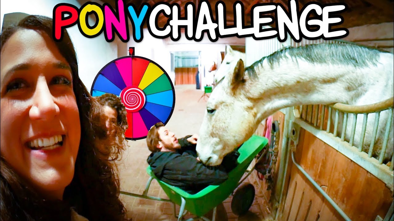 VERRÜCKTE PONYCHALLENGE im Stall ✮ mit GLÜCKSRAD