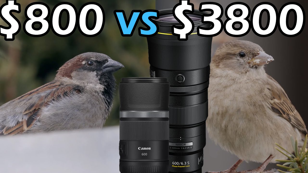 Canon R5 II vs Nikon Z6 III (600mm f6.3 vs f11 Wildlife Battle!)