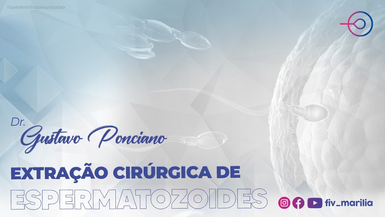 Como funciona a Extração Cirúrgica de Espermatozoide - Fiv Marília