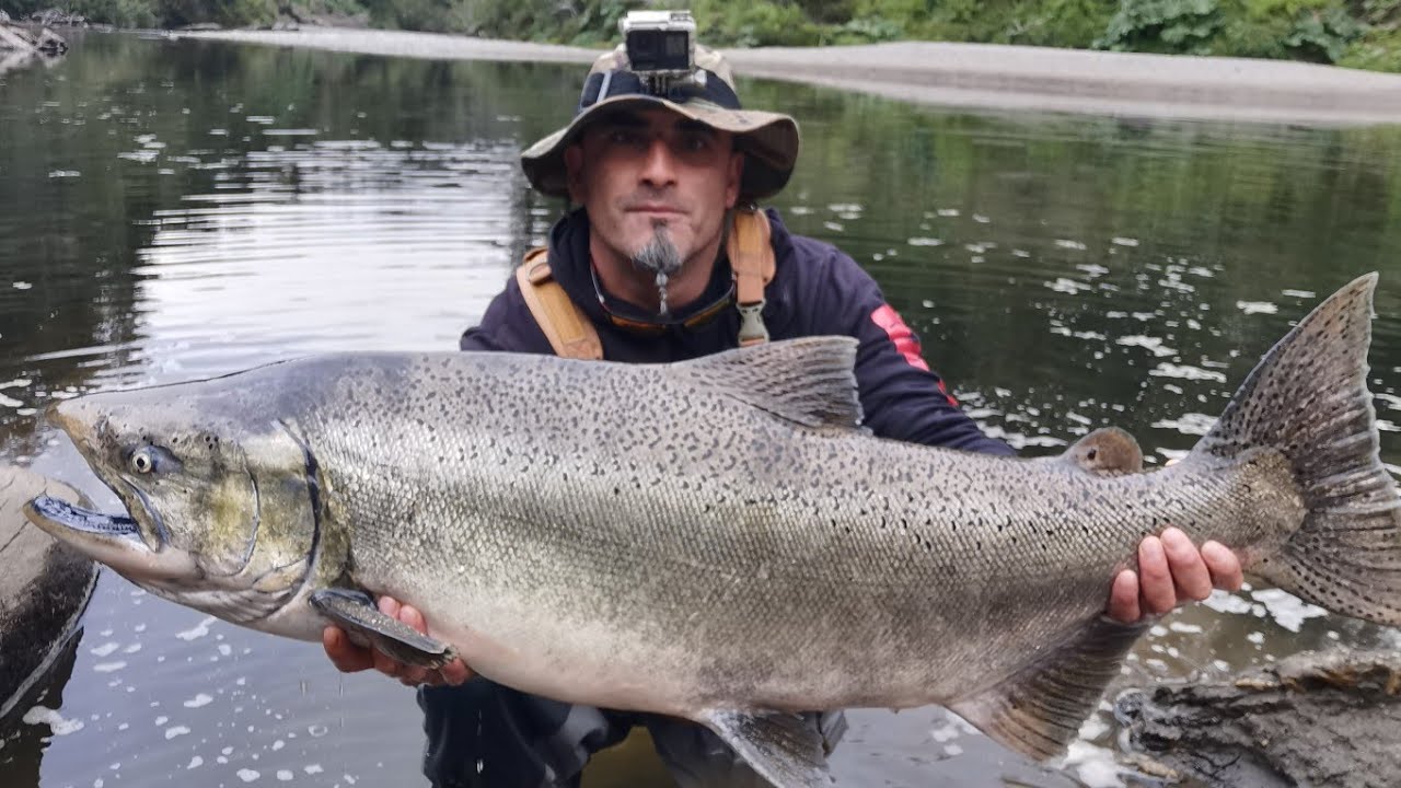Pesca extrema del salmón chinook en Chiloé Chile 21.2kg lucha y resistencia del gran monstruo de Río