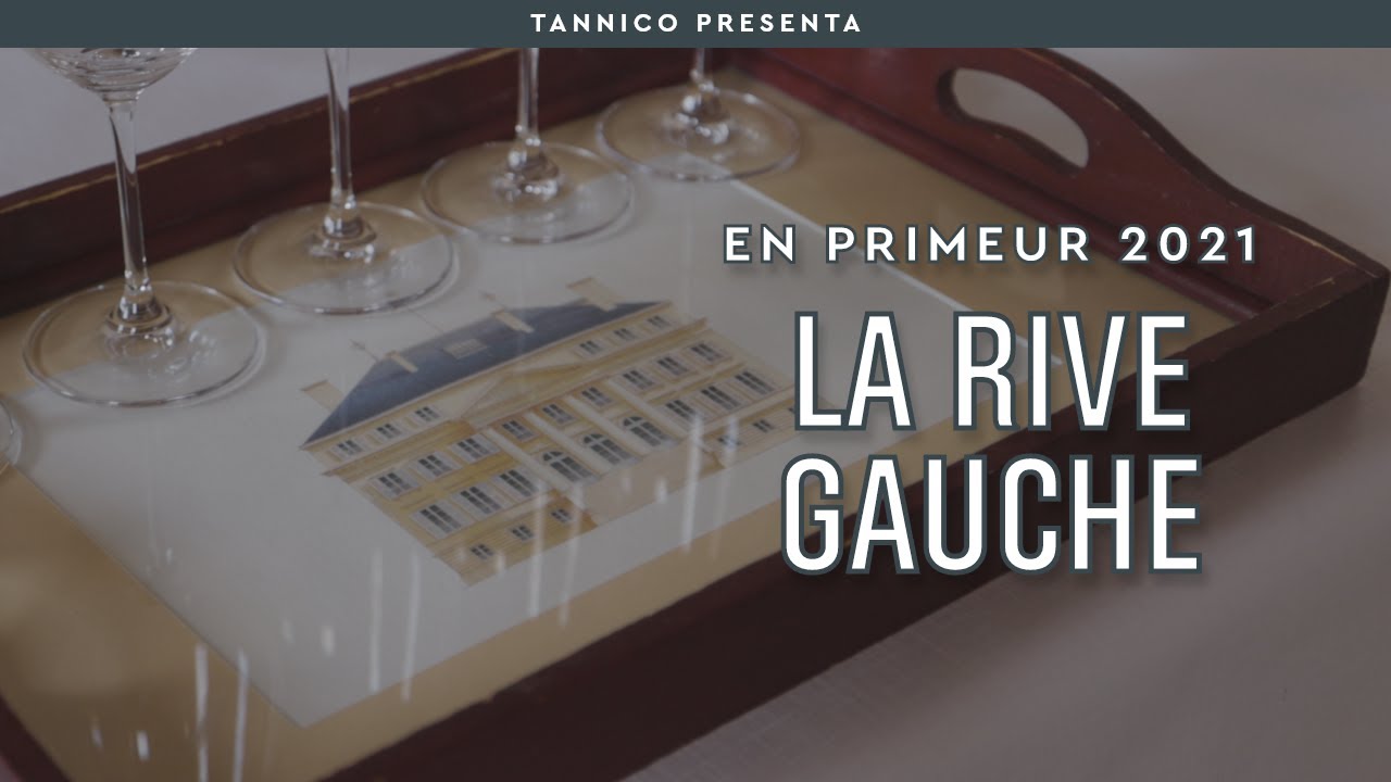 En Primeur 2021, i migliori vini della Sponda Sinistra a Bordeaux | Tannico