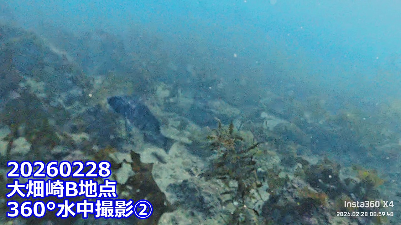 20260228X4②大畑崎B地点360°水中撮影(08:22:28～09:28:47)チャプター付き