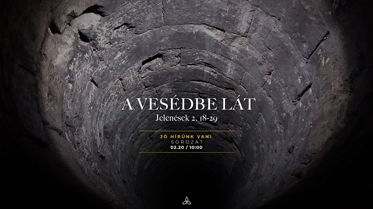 Dr. Pafkó Tamás: A vesédbe lát