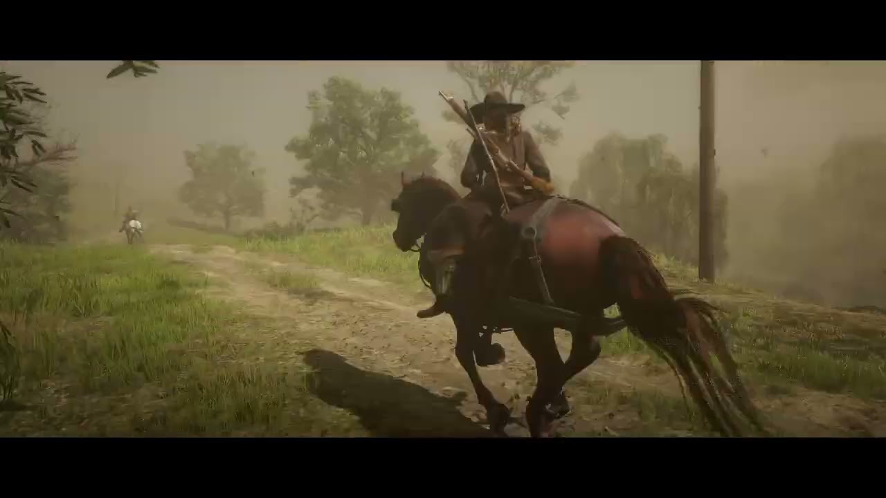 RDR2 Rescue & ReHome: Teamwork!!
