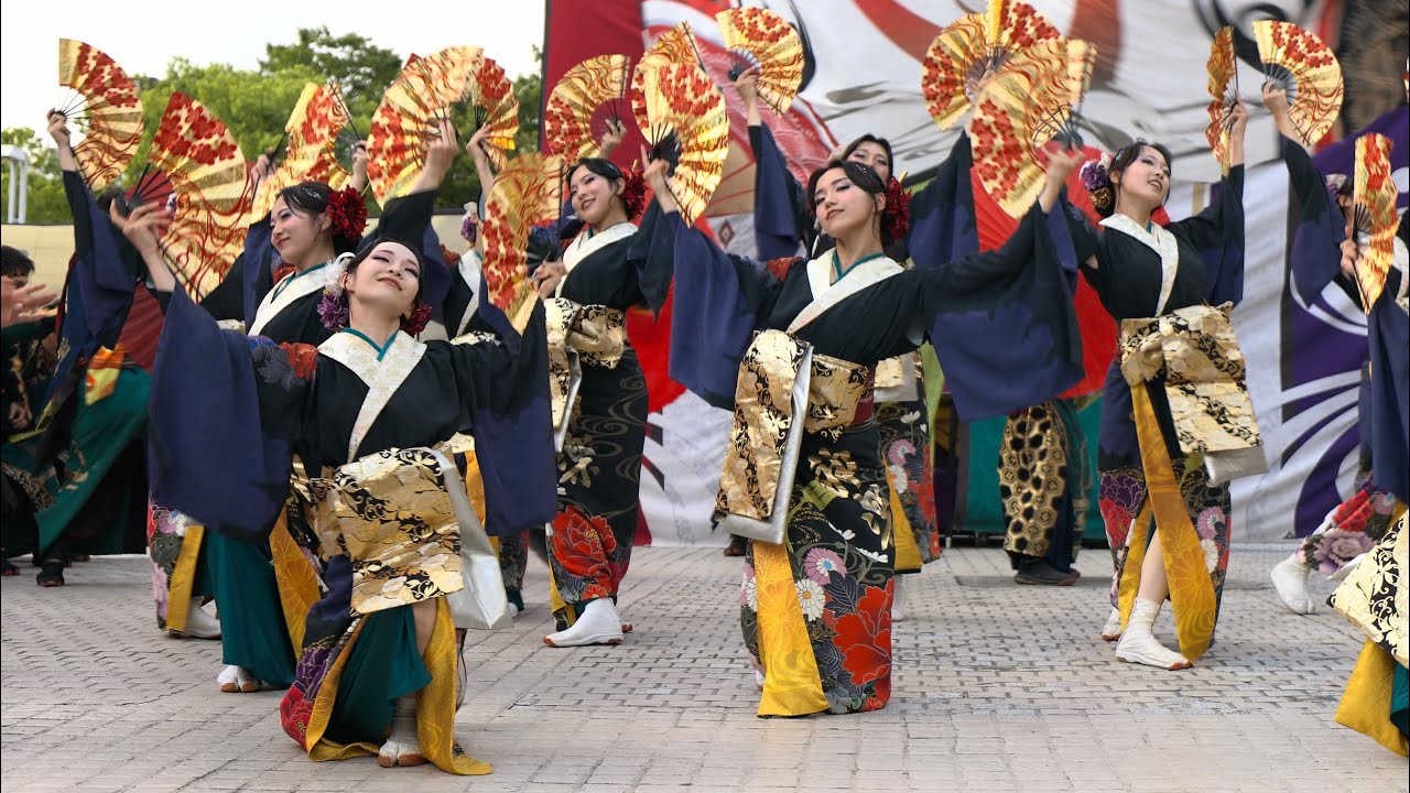 Kagura とっておき 特別誂 神楽人 どまつり2024 よさこい