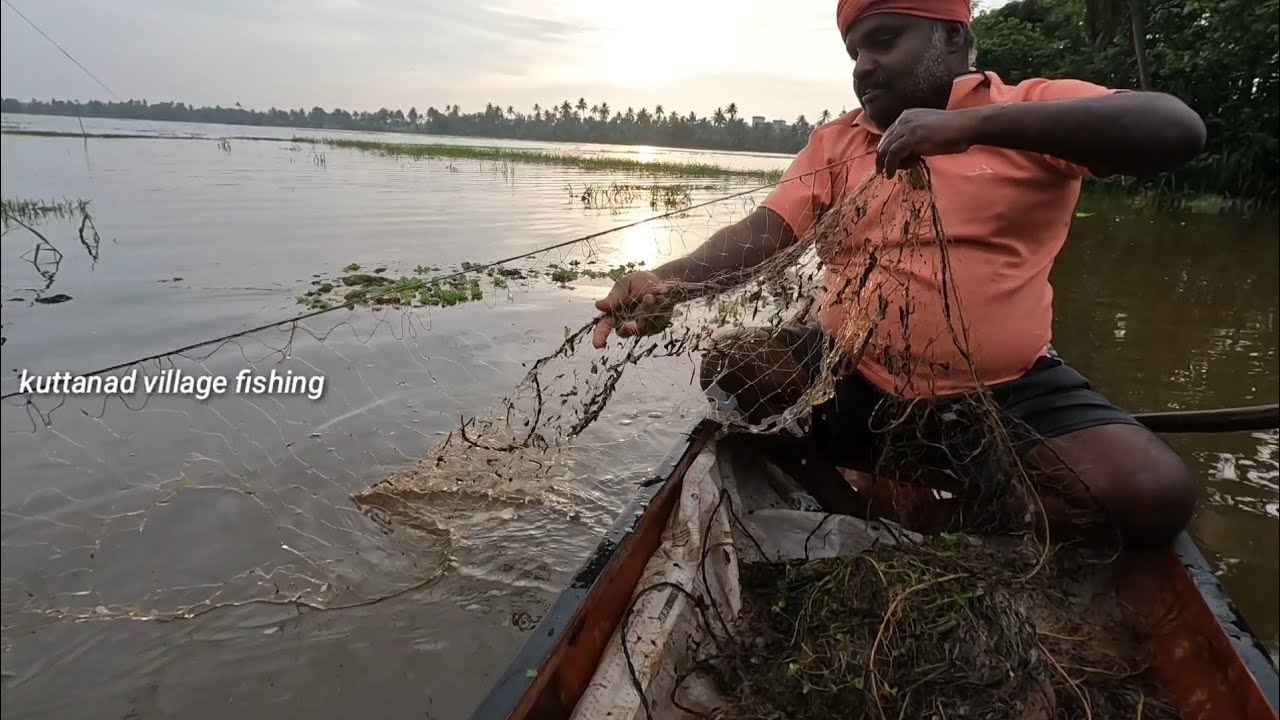 പാടത്ത് ആദ്യം വലയിട്ടാൽ പിന്നെ പറയണ്ടല്ലോ🐬😱net fishing|kerala fishing|nadan fishing|traditionalfishi
