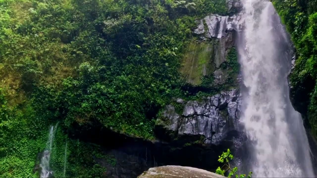 Waterfall and Bird Sounds  Calm Mind, Deep Sleep (8–10 Hours)