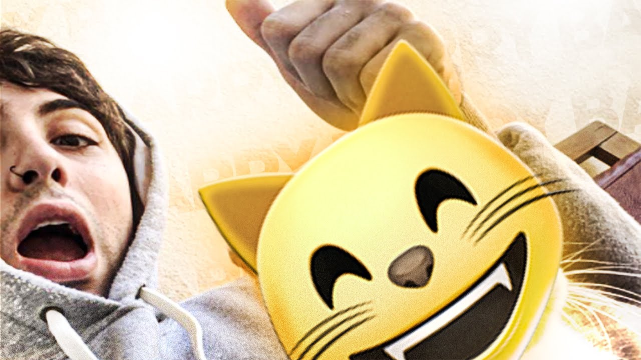 ADOPTÉ UN GATITO 😸