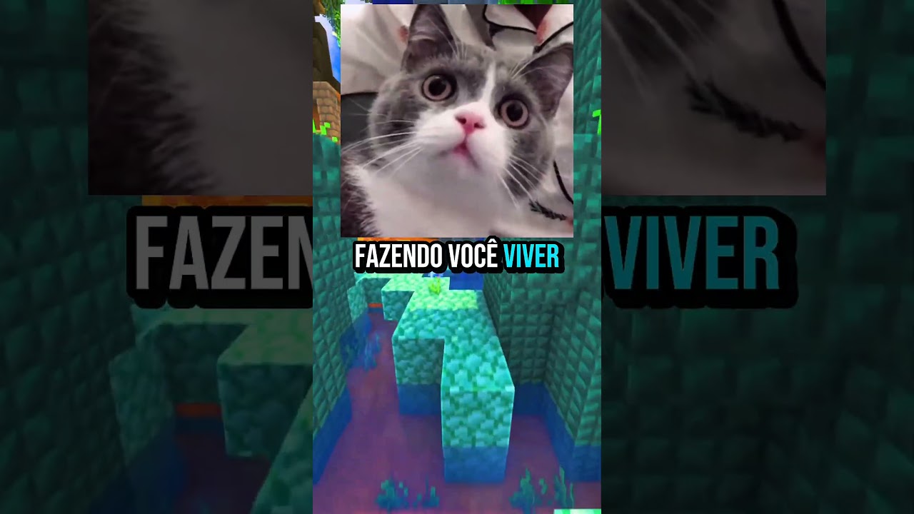 Um mago b&ecirc;bado... 🧙&zwj;♂️🚪#shorts  #entretenimento