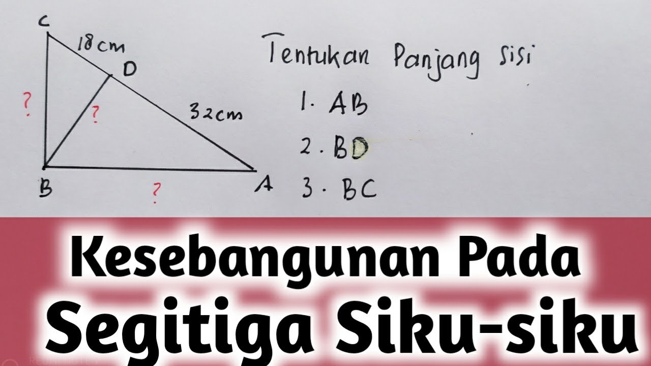 Matematika Kelas 9 | Kesebangunan pada Segitiga Siku-siku