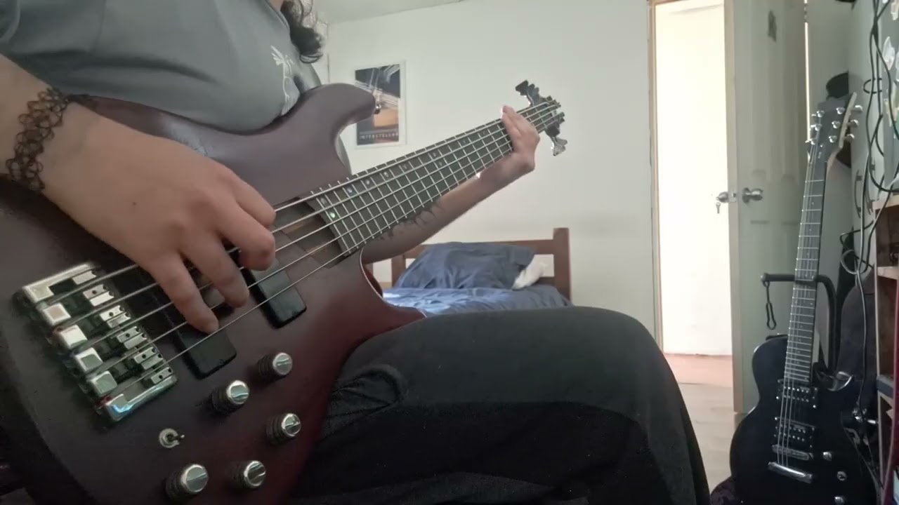 Vicarious - TOOL (Bass Cover) (Without Whammy :c )