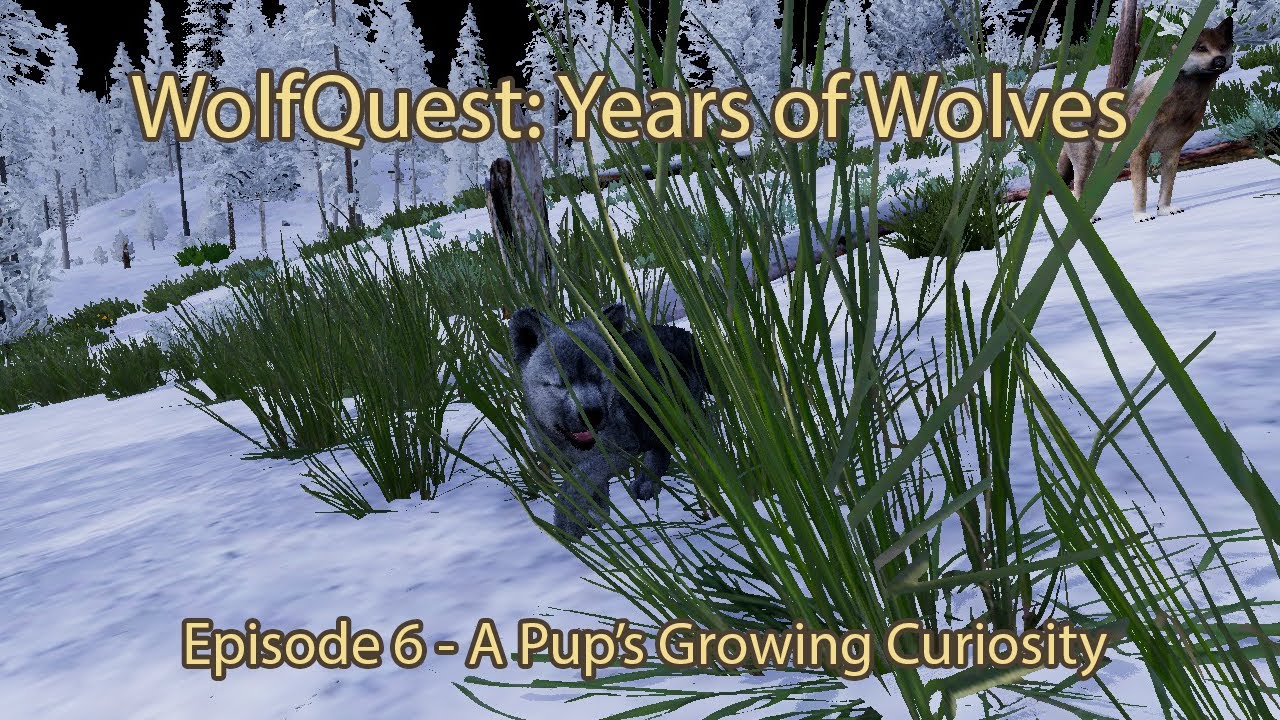 WolfQuest: Years Of Wolves Episode 6 - A Pup's Growing Curiosity