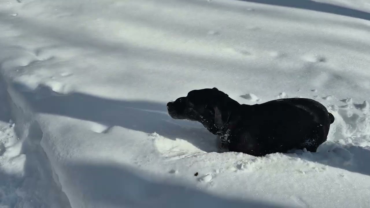 Power to We The People