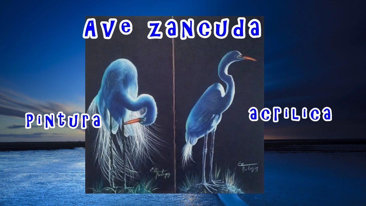 Ave zancuda/Mi inspiraci&oacute;n