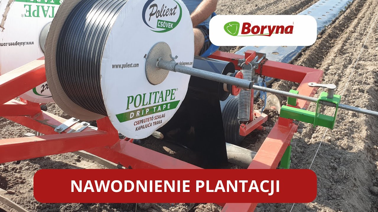 Taśma nawadniająca, kroplująca - system nawodnienia plantacji Politape