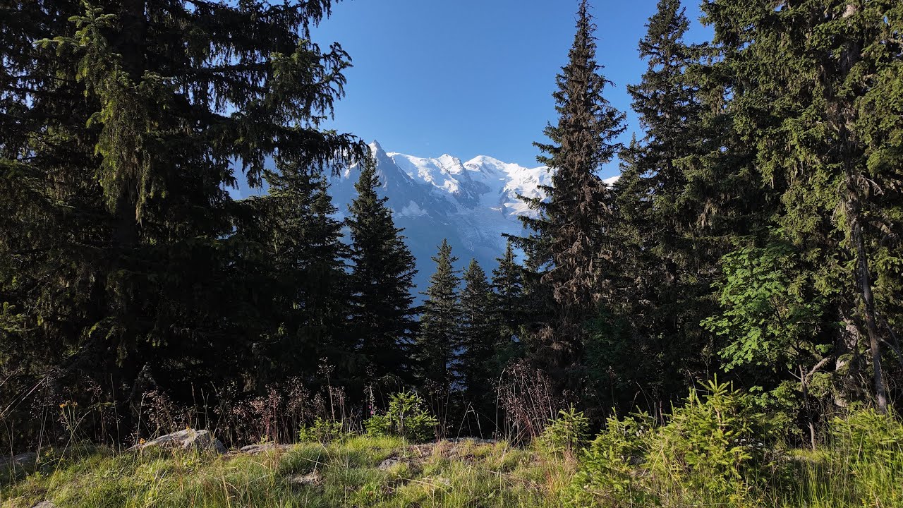 LE TMB D'UN DÉBUTANT
