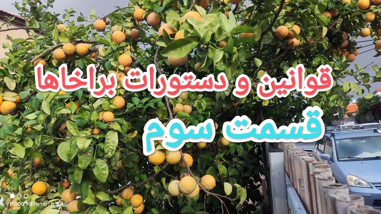 دستورات و قوانین براخاها وسپاسگذاری از خد.اوند. قسمت سوم 