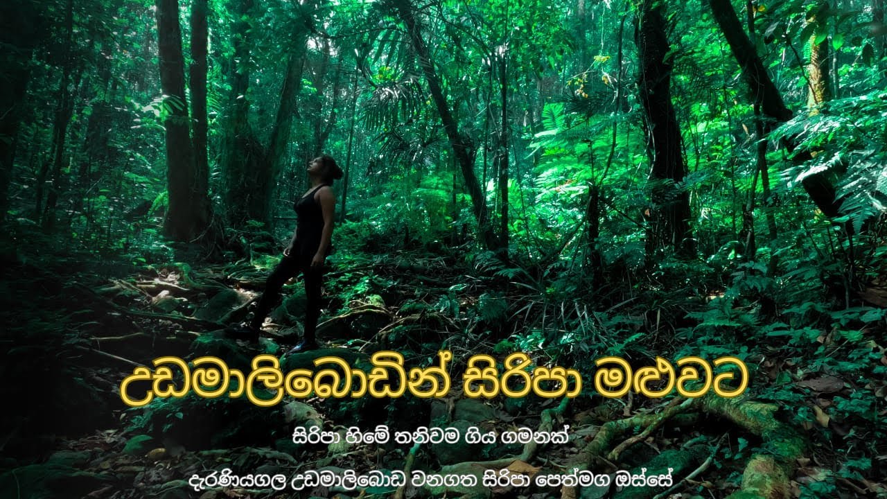උඩමාලිබොඩින් තනිවම සිරිපා මළුවට Solo Journey to Sri Pada via Deraniyagala Uda Maliboda Trail #solo