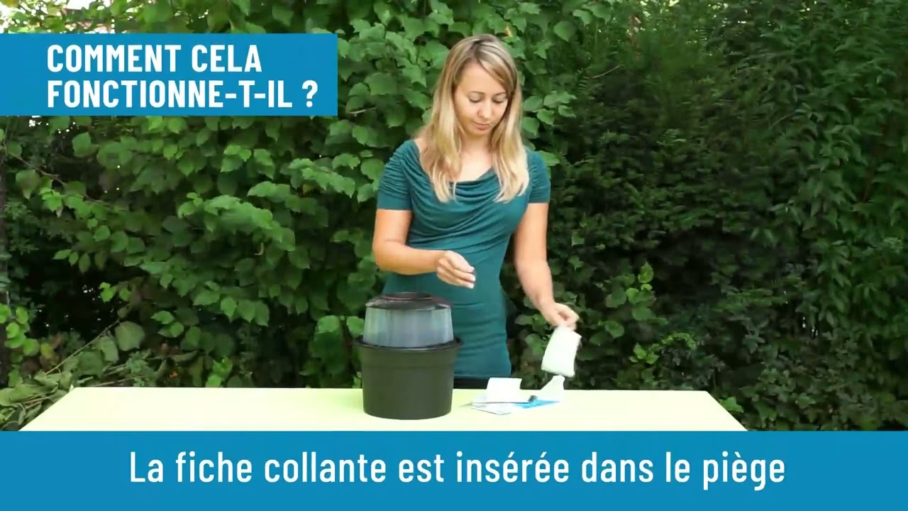 Cartes adhésives BG GAT – Recharge efficace pour piège à moustiques