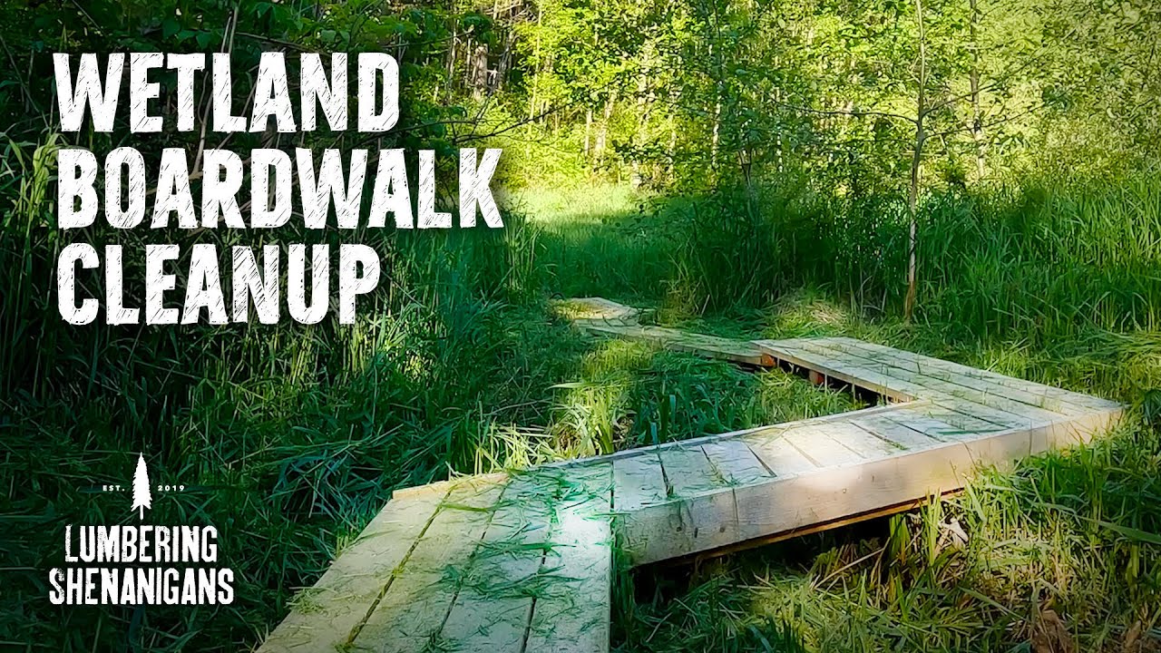 Weed Whacking 5ft Grass Along My Wetland Boardwalk