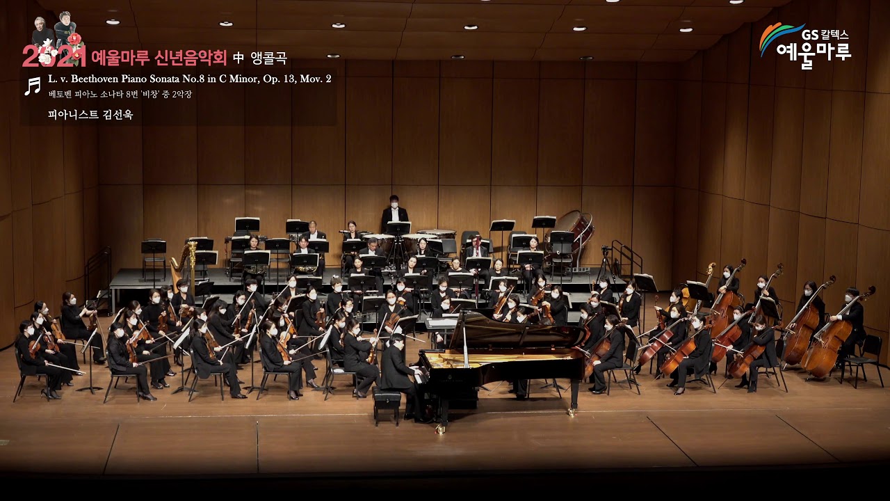 김선욱 | 베토벤, 피아노 소나타 8번 '비창', 제 2악장(Piano Sonata No 8 in C Minor, Op. 13 