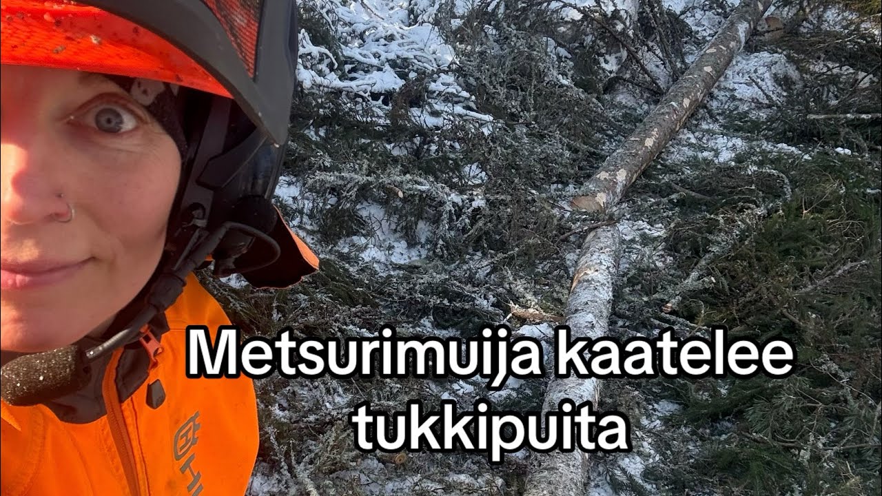 (#5) Tukkipuita kumoon rakennustarpeiksi
