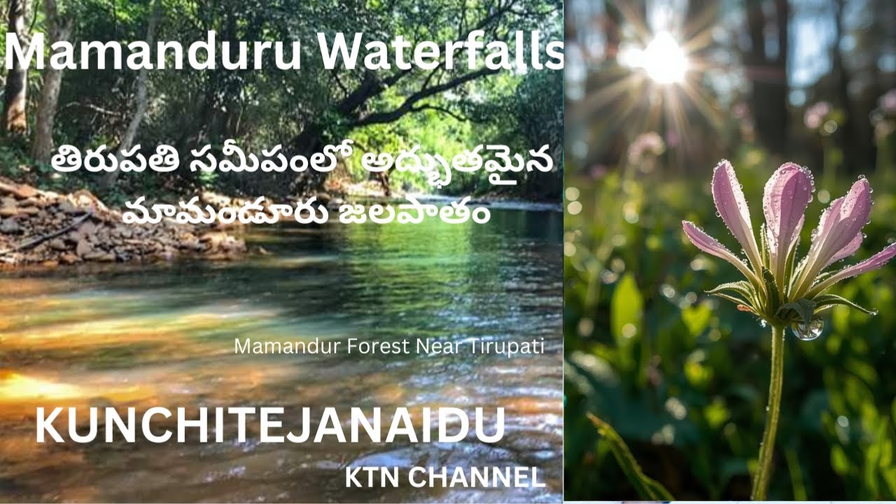 Mamandur Forest Trip | మామండూరు అడవుల్లో మా ప్రయాణం #waterfalls #adventures @kunchitejanaidu 