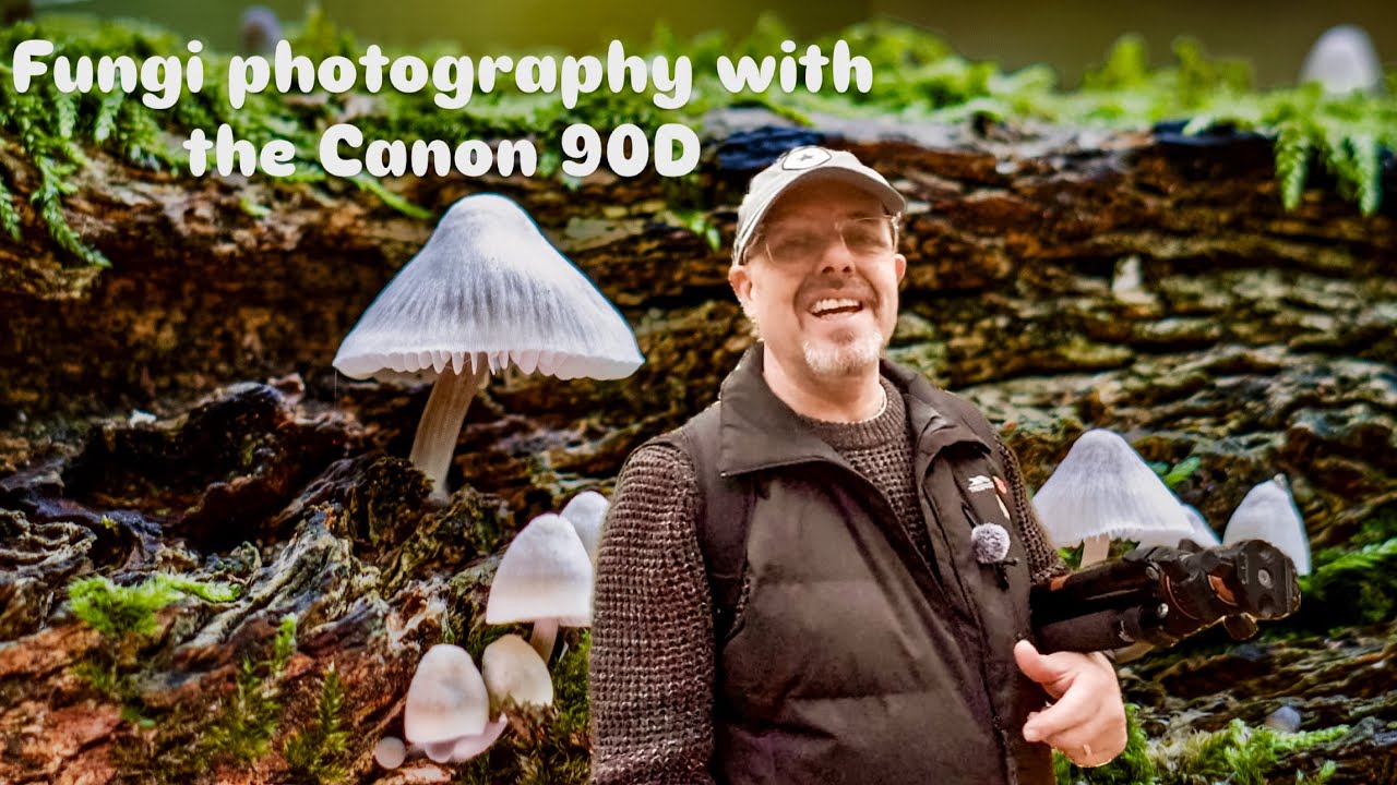 Photographing Fungi with the Canon 90D