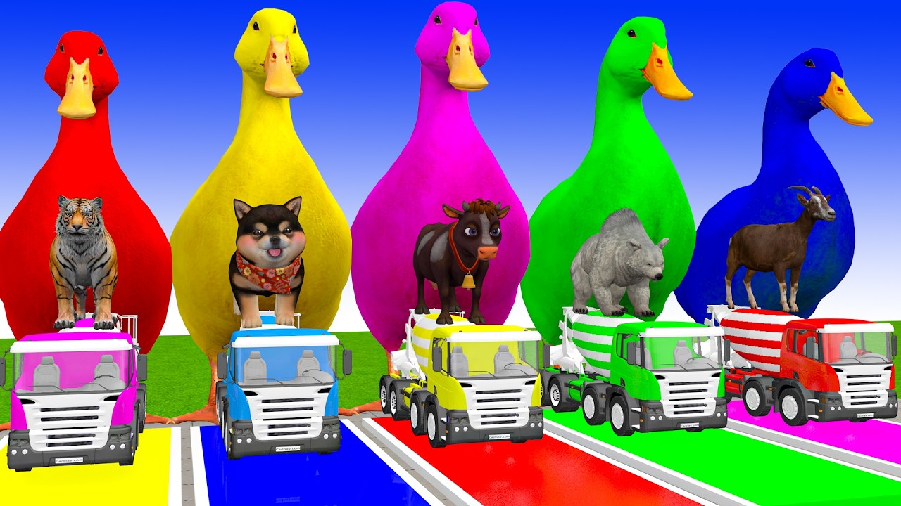 Long Slide Game With Cow Elephant Gorilla Hippopotamus Tiger 3d Animal Game Funny 3d Animals