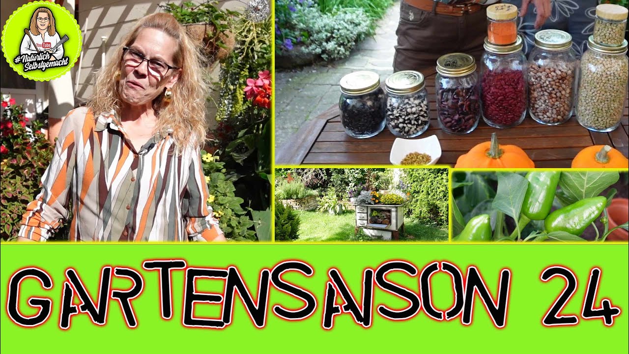 Garten im September, Ernten, Säen und Temperatursturz