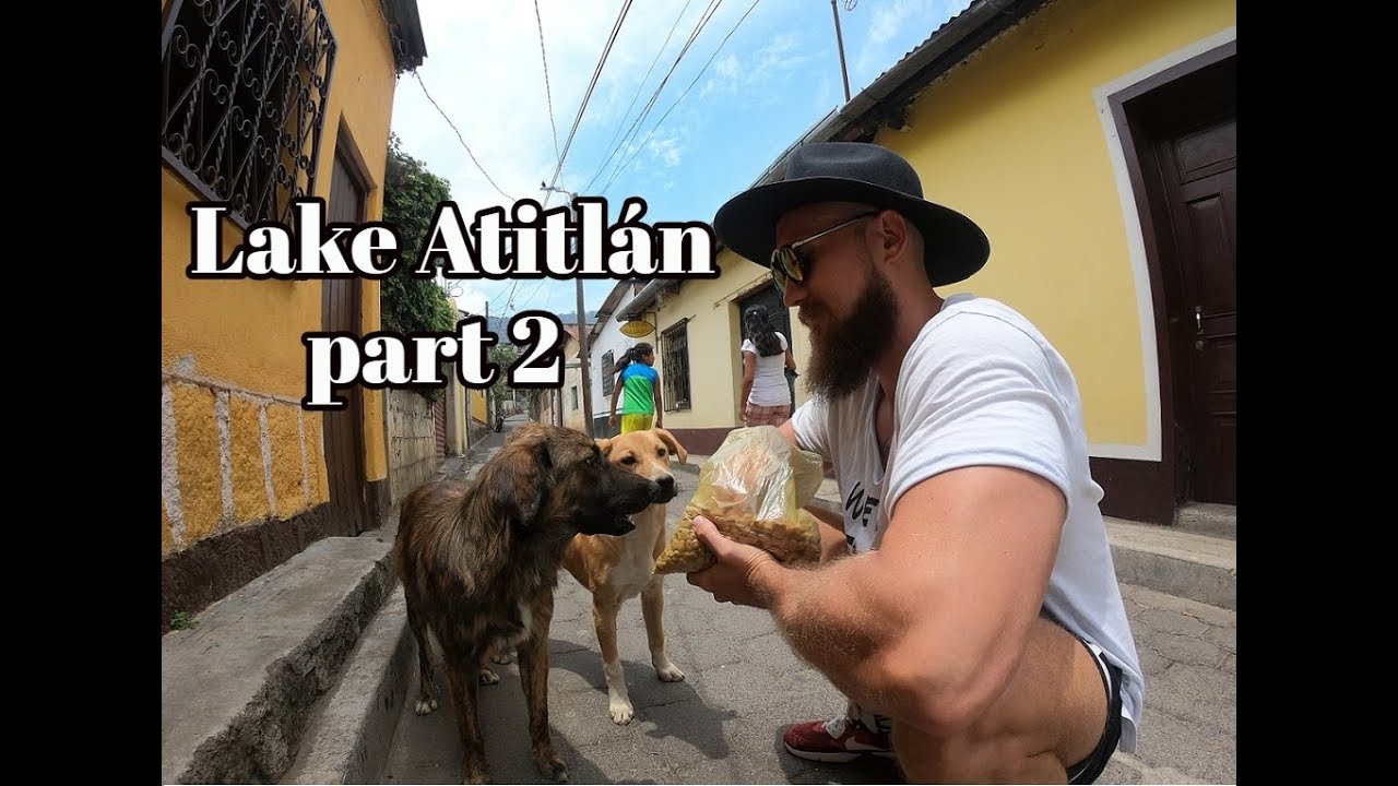 Feeding homeless dogs in San pedro - Lake Atitlan, Guatemala