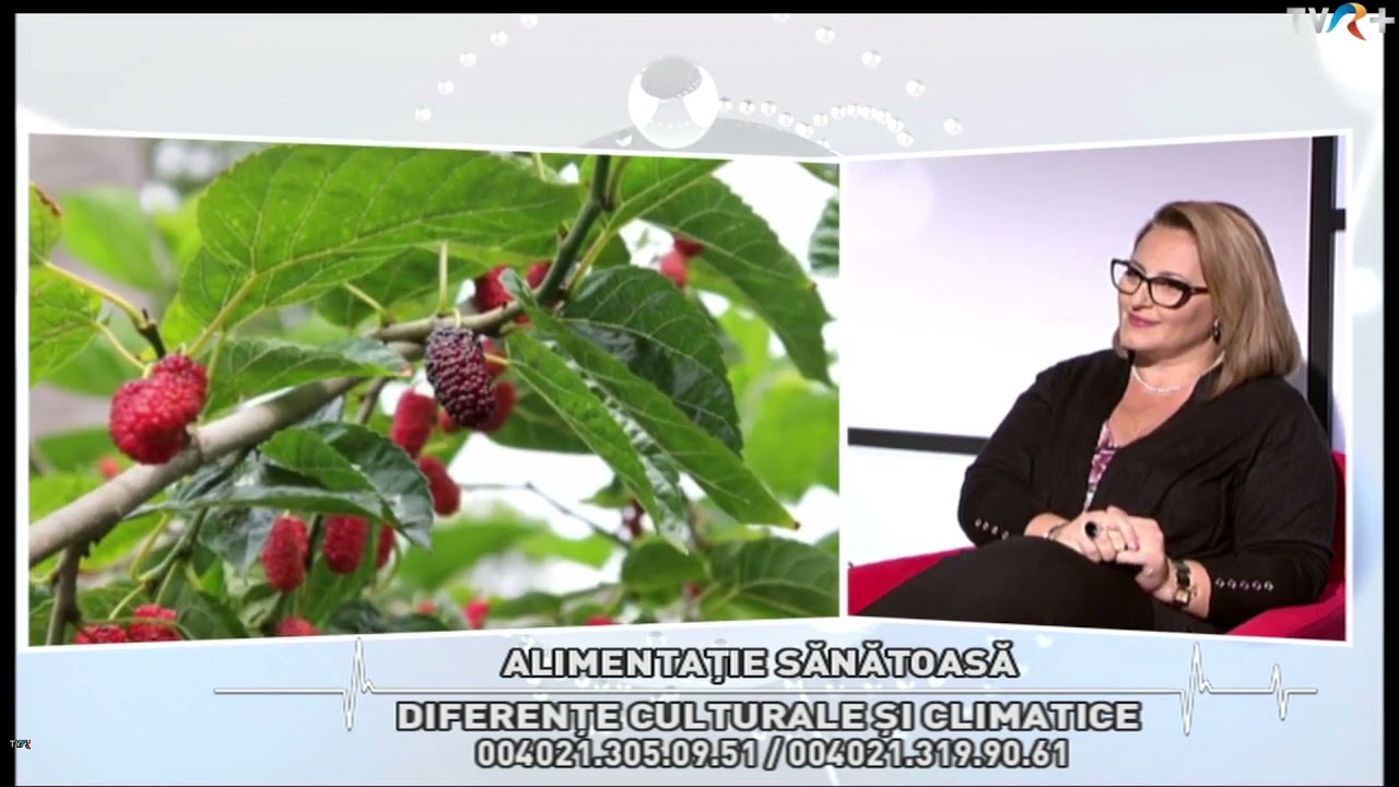 Alimentație sănătoasă - diferențe culturale și climatice