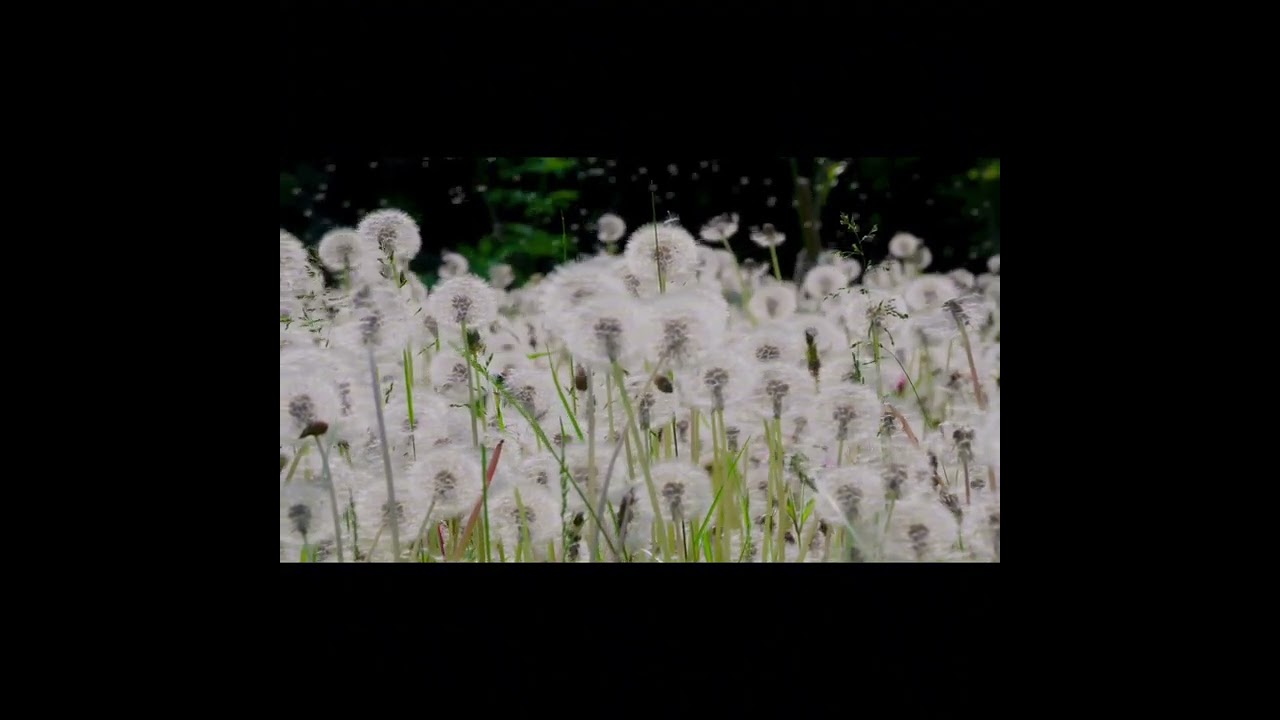 Episodio 14- Lo que callamos los padres.