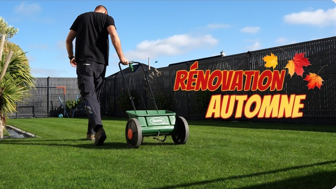 Rénovation d'automne - Entretien du gazon